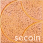 GẠCH HÈ ĐƯỜNG OD-40-1019